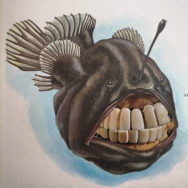 Original Surrealism Fish Collage by Avoir l' Herbot