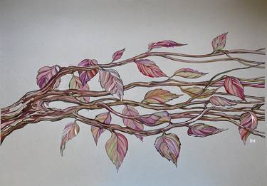 Print of Fine Art Botanic Drawings by Nadiia Lolina