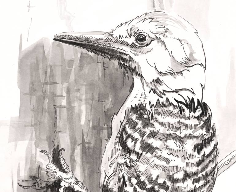 Original Illustration Animal Drawing by Tracy Lindner
