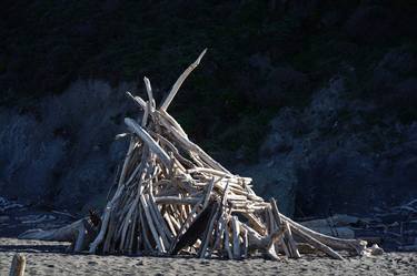 DRIFTWOOD RITUAL thumb