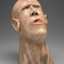 With the head tilted back, tongue out and overemphasized veins in the neck, this piece signifies agony.