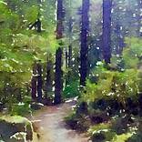 Collection The Magic of Vancouver