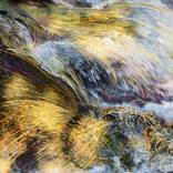 Collection Water studies