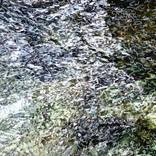 Collection Water studies