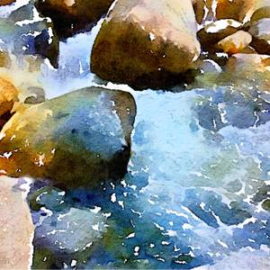 Collection Water studies