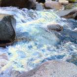 Collection Water studies