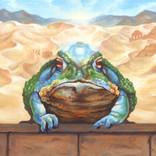 Dust Toad by Rebecca Magar
