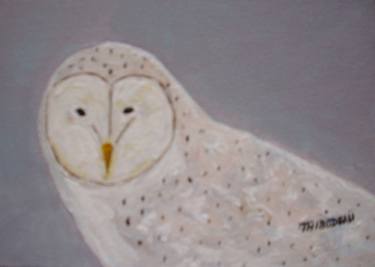 Owls and Landscape, Snowy Owl 2 thumb