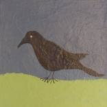 Crow stands on moss near the beach by THIBODEAU ART