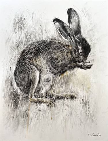 Print of Realism Animal Drawings by Luci Power