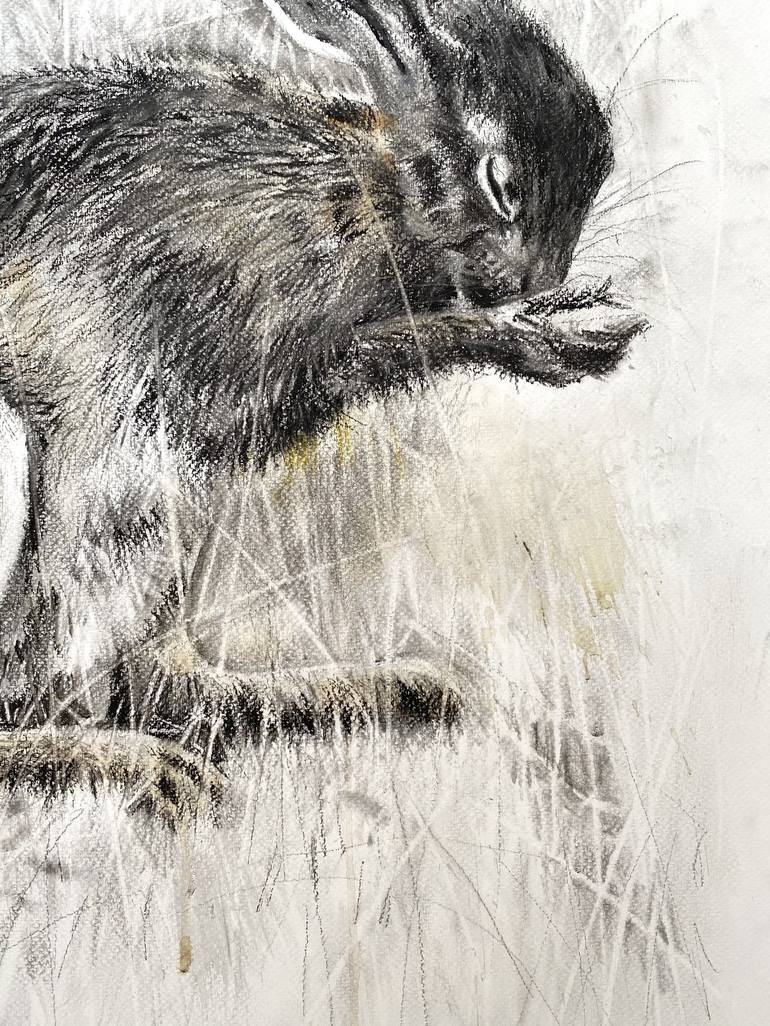 Original Animal Drawing by Luci Power