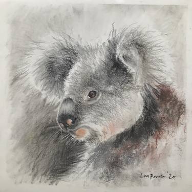Original Expressionism Animal Drawings by Luci Power