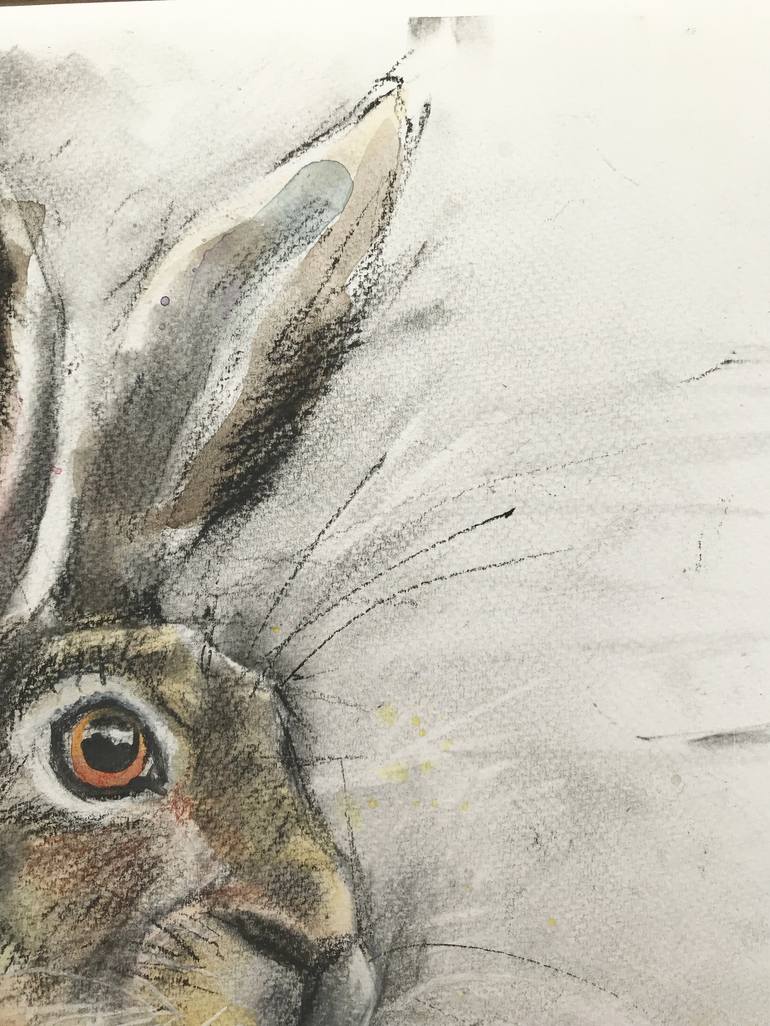 Original Animal Drawing by Luci Power