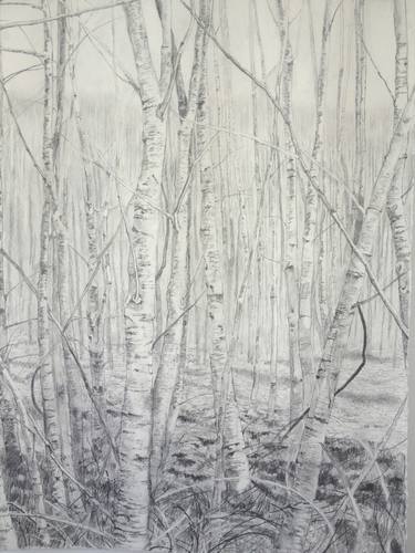 Original Landscape Drawing by Marie-Louise Martin