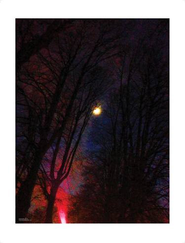 THE MOON BEHIND THE TREES - Limited Edition 2 of 10 thumb