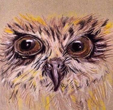 Owl eyes thumb