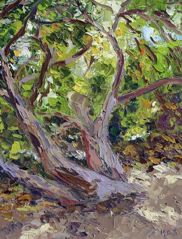 Print of Tree Paintings by Kristen Olson Stone
