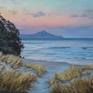 Collection Paintings of New Zealand