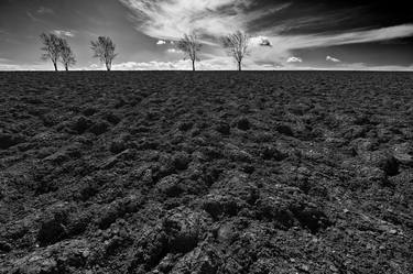 Print of Fine Art Landscape Photography by Michal Candrak