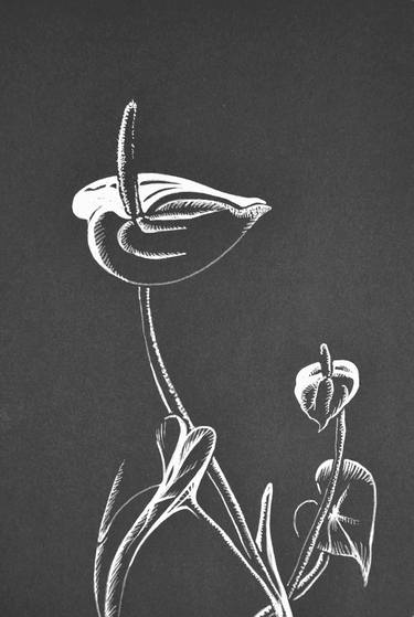 Original Floral Drawing by Maria Kazanets