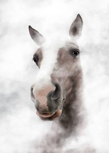 Horse Portrait (small) - Limited Edition of 20 thumb