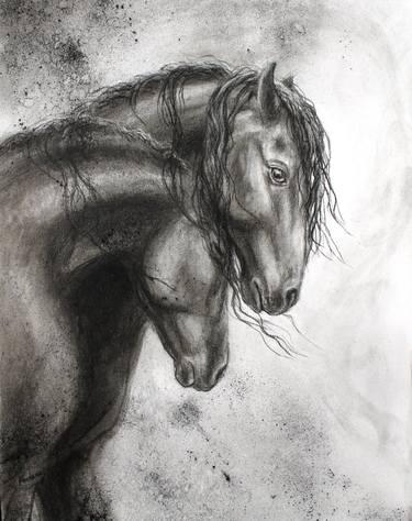 Original Horse Drawings by Janet Ferraro