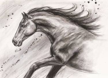Original Fine Art Horse Drawings by Janet Ferraro