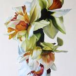 Narcissi by Freya Powell