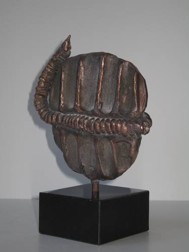 trilobite thumb