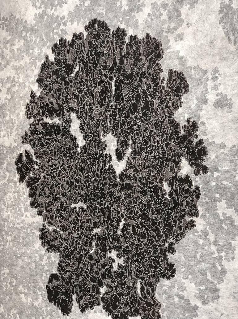 Original Abstract Nature Printmaking by Emily Shopp