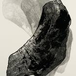 Ghosts by Emily Shopp