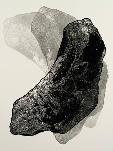 Print of Abstract Nature Printmaking by Emily Shopp
