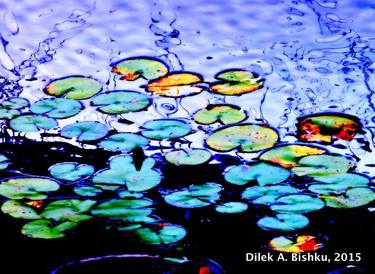 Original Water Photography by d a cangal