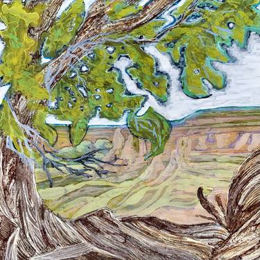 Juniper View thumb