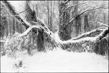 Print of Documentary Landscape Photography by Dmytro Kupriyan