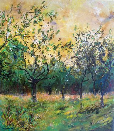Orchard in spring thumb