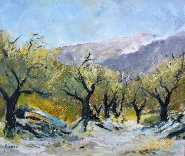 Olive trees in Provence thumb