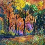 Colourful forest scenery by Pol Ledent