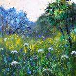 White and blue wild flowers by Pol Ledent
