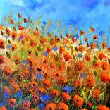 Red poppies meadow by Pol Ledent