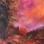 At dusk 6726 by Pol Ledent