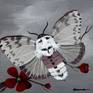 Hummingbird Moth with Red Flowers