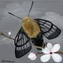 Hummingbird Moth with White Flowers