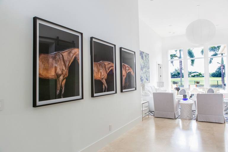 Original Abstract Horse Photography by Juan Lamarca