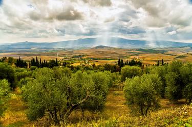 The Tuscan Landscape - Limited Edition 1 of 10 thumb