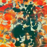 Garden Minuet in Orange by Iskra Johnson