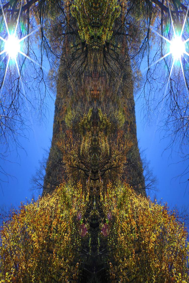 Tree Serpent Photography by Jack Abramson | Saatchi Art