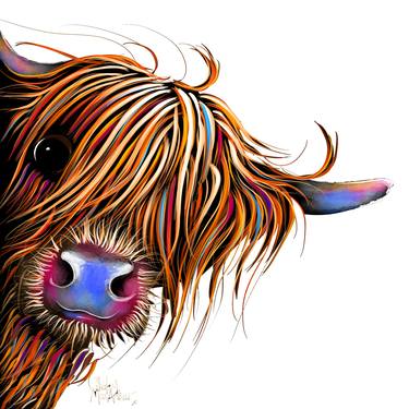 Highland Cow Prints ' SuGaR LuMP oN WHiTe ' BY SHiRLeY MacARTHuR thumb