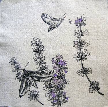 Lavender and butterflies thumb