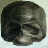 transformed human skull by Galya Boyko